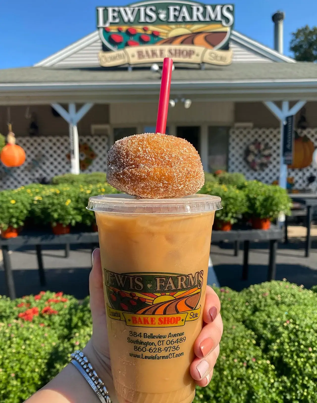 Iced coffee in a Lewis Farms cup topped with a sugar donut, held up outside the bake shop